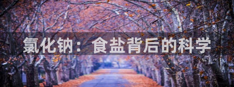 威九国际留学