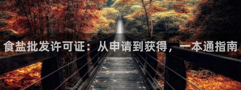 威九国际系列