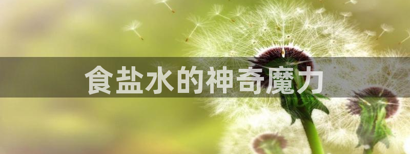 威九国际空降服务女演员名字