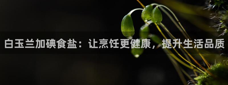 威九国际官网版下载