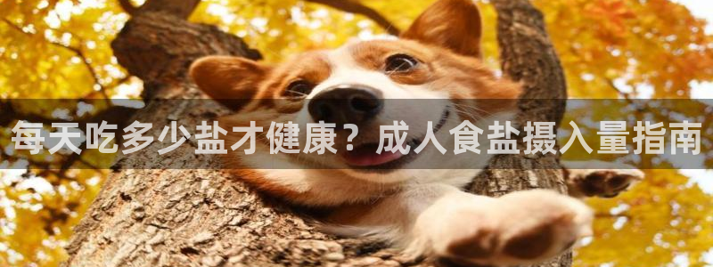 威九国际APP客服