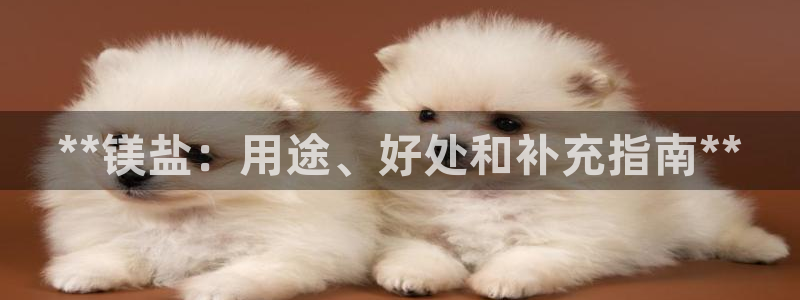 威九国际网站人入口