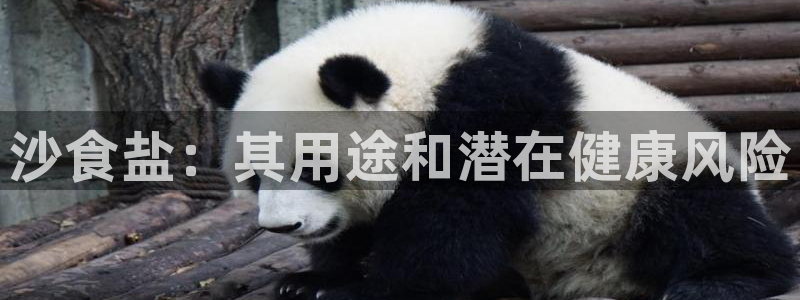 威九国际的金融服务