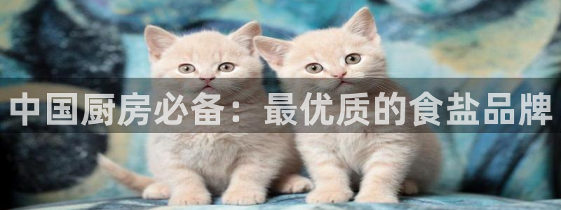威九国际网站进入公司不断创新