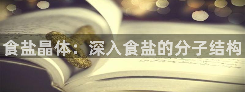 威九国际免费网络站