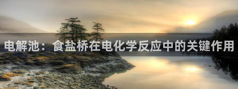 78mapp威九国际最新版