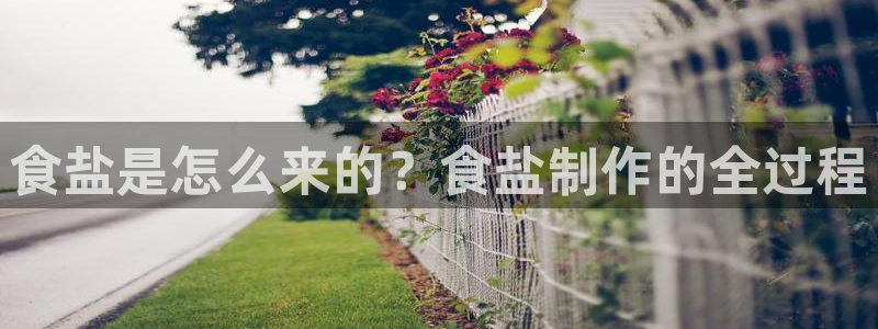 78mapp威九国际免费官方版下载