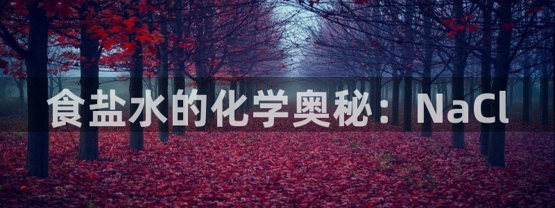 威九国际里的长头发帅哥名字