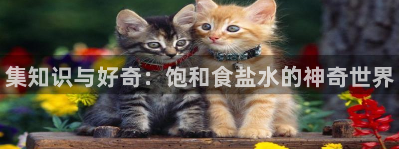 威九国际网站进入产品中心怎么进