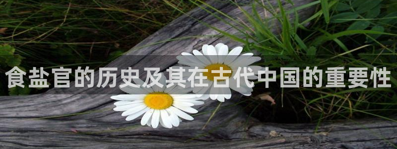威九国际网页看视频弹窗的广告拦截插件