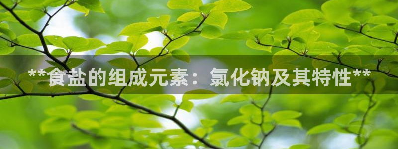 威九国际如何下载