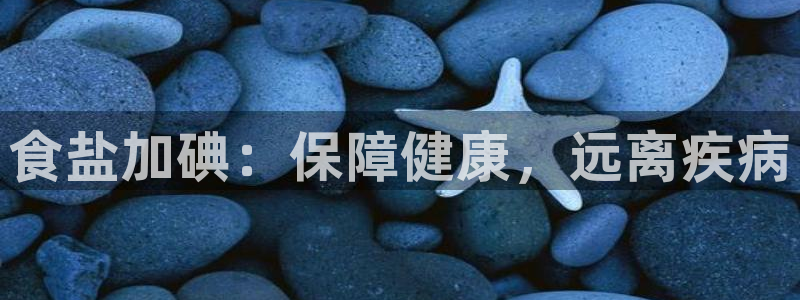 威九国际PPT