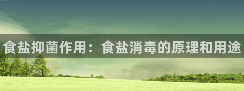 威九国际app客服电话