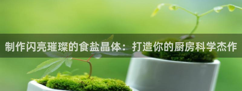 威九国际成长模式