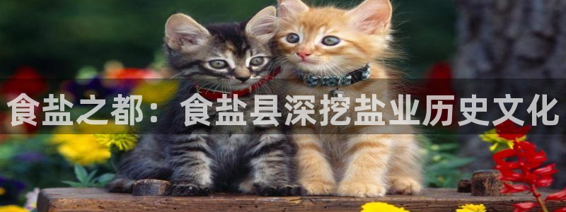 威九国际可以提现吗