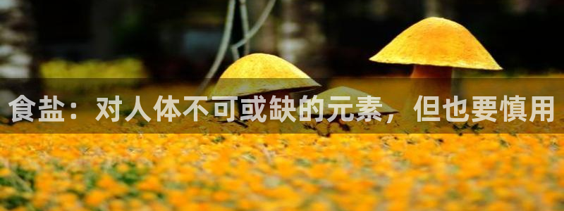 威九国际空降服务怎么样