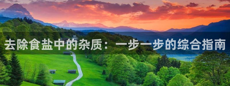 威九国际地址