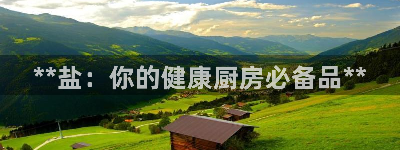 威九国际的演员