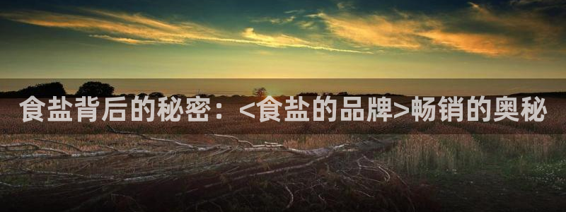 威九国际正规吗