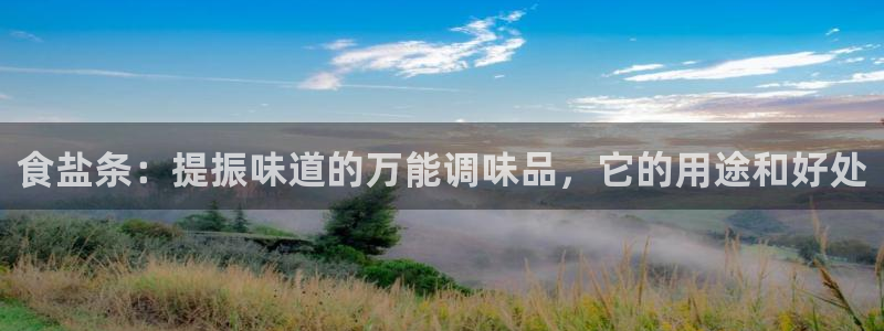 保定威九网络科技有限公司是干嘛的