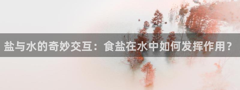 威九国际HP