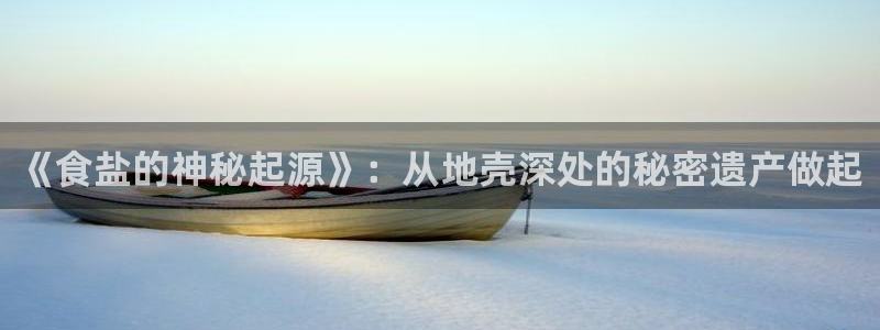 威九国际的网站入口在哪里