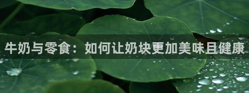 保定威九网络科技有限公司电话