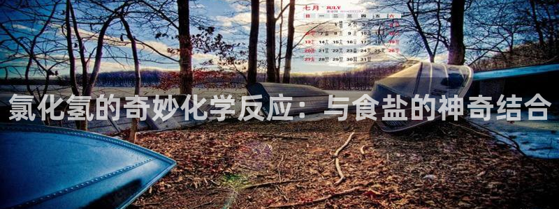 78mapp威九国际媒体