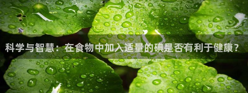 威九国际集团66m一6