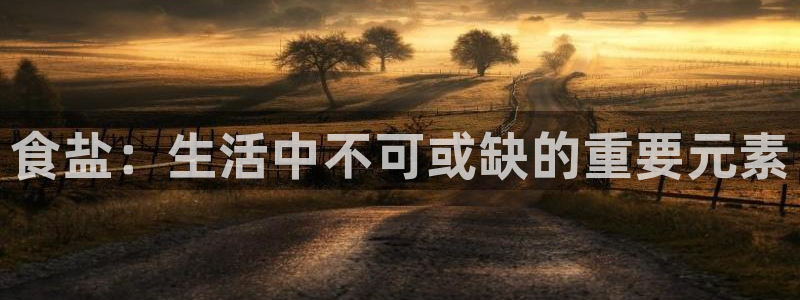 威九国际的金融服务