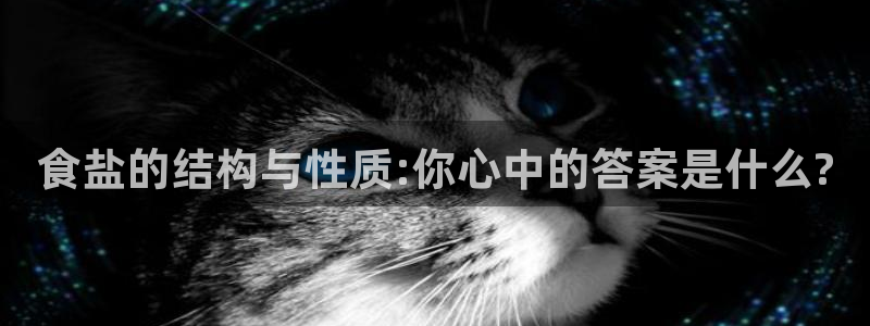 威九国际78m78下载