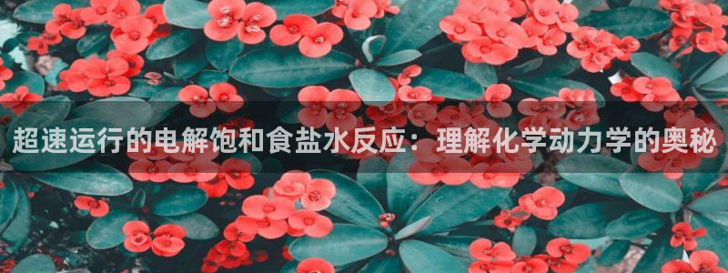 威九国际网站进入客服中心