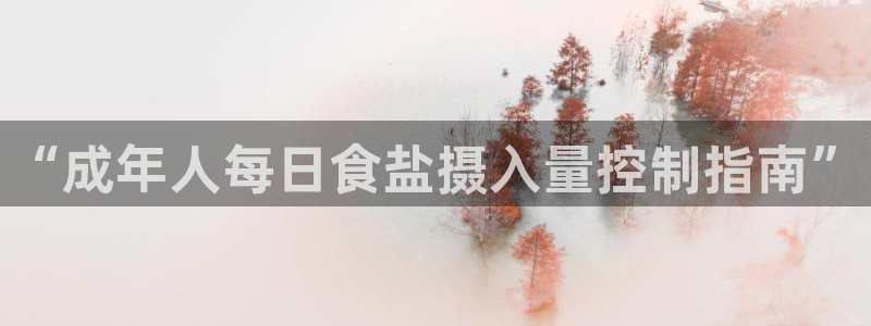 威九国际替好友去