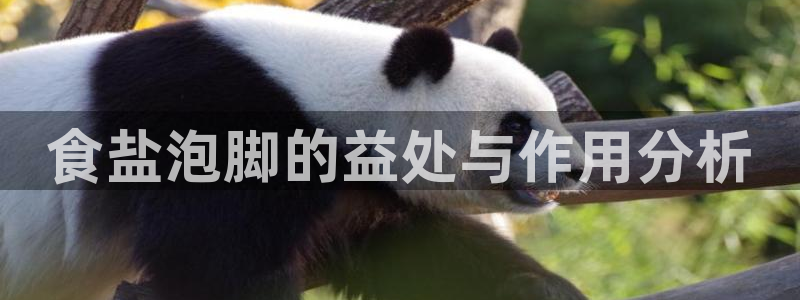 威九国际摩托电影HD