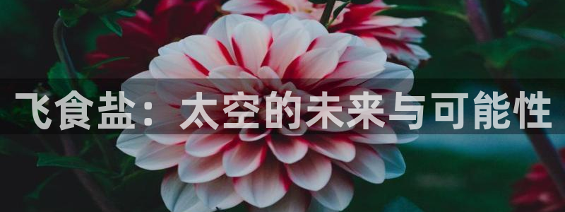 威九国际最新网站
