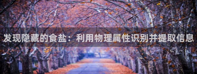 威九国际免费网络站