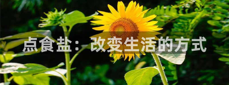 威九国际m78