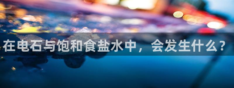 威九国际软件