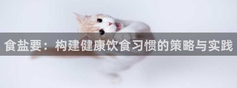 威九国际在哪里