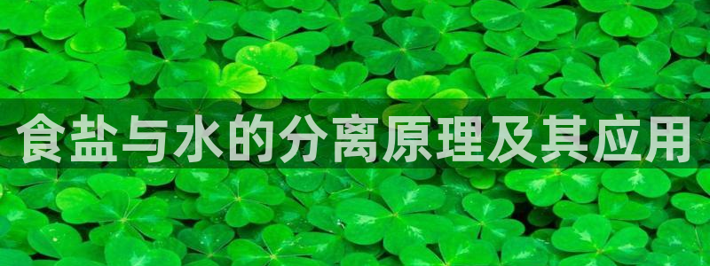 威九国际取款多到账