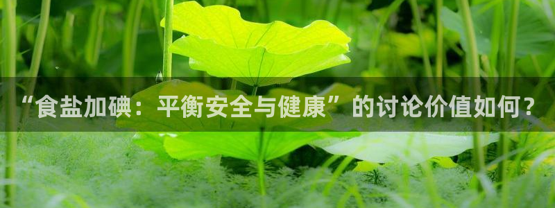 威九国际AN
