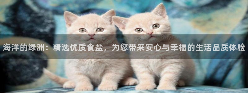 威九国际犯法吗