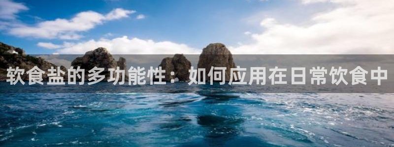 威九国际软件