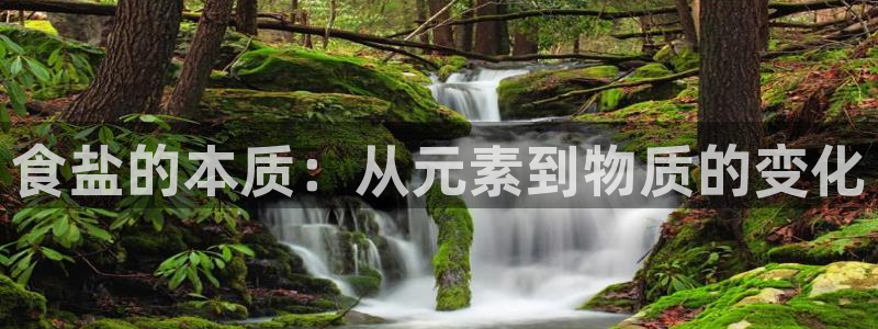 保定威九网络科技有限公司
