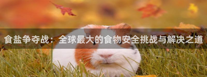 威九国际女演员名单介绍