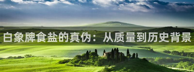 威九国际网站怎么样可靠吗