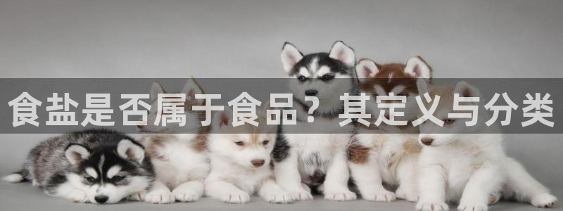 威九国际app网站