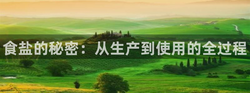 威九国际狂飚电影