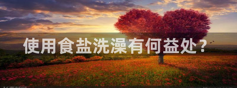 威九国际66m66m