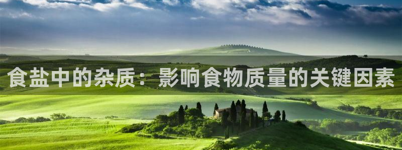 威九国际安全吗的认证团队
